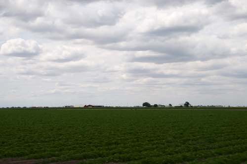 DSC_0156.jpg