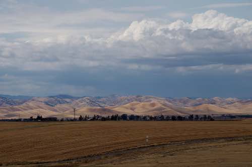 DSC_0164.jpg