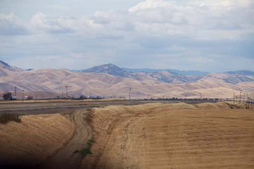DSC_0165.jpg