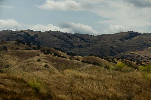 DSC_0171.jpg