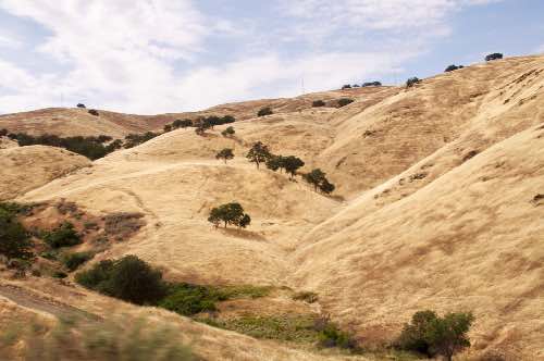 DSC_0175.jpg