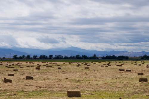 DSC_0185.jpg