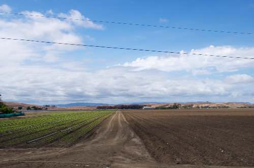 DSC_0188.jpg