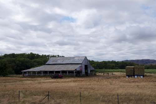 DSC_0190.jpg