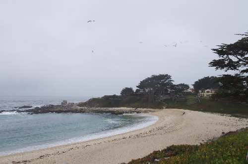 DSC_0137.jpg