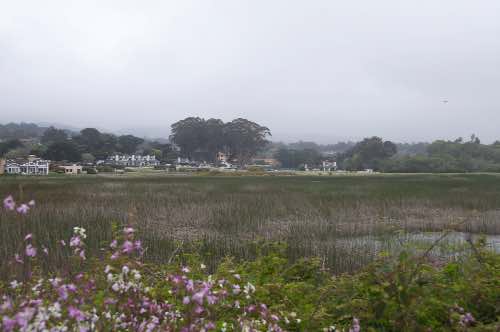 DSC_0138.jpg