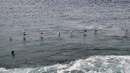 DSC_0054.jpg