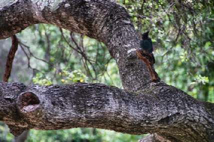 DSC_0175.jpg