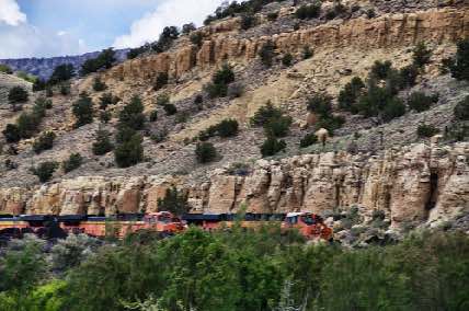 DSC_0133.jpg
