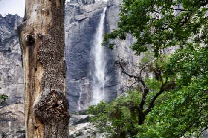 DSC_0104.jpg