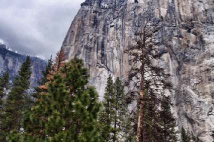 DSC_0111.jpg