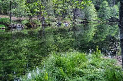 DSC_0155.jpg