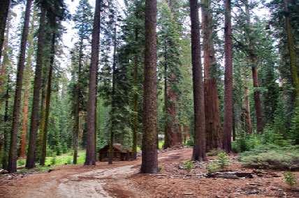 DSC_0232.jpg