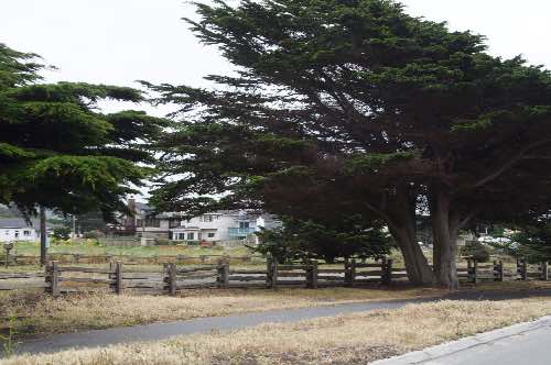 DSC_0078.jpg