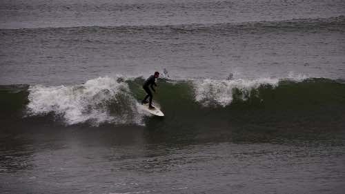 DSC_0085.jpg