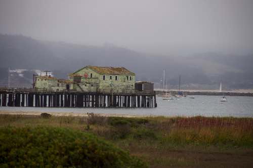 DSC_0103.jpg