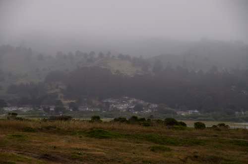 DSC_0113.jpg