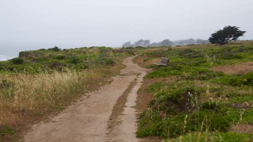 DSC_0126.jpg