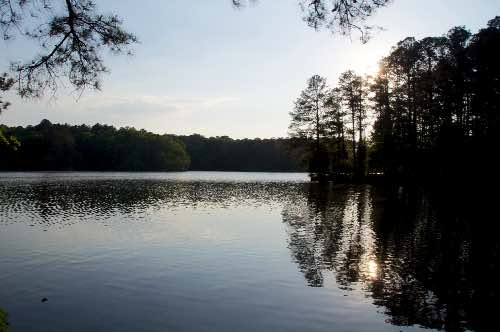 DSC_0012.jpg