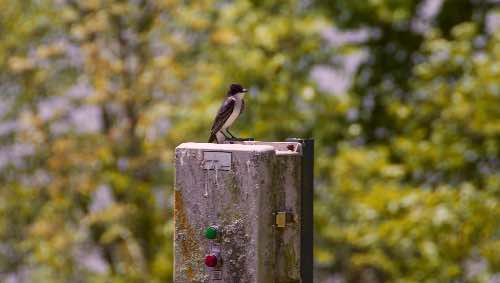 DSC_0022.jpg