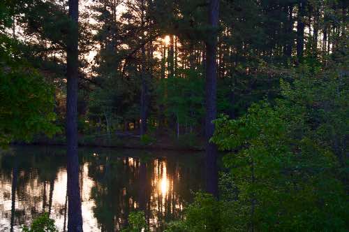 DSC_0033.jpg