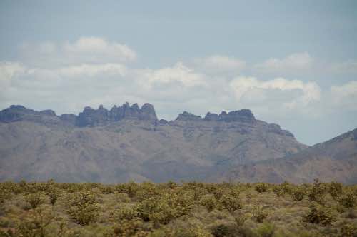 DSC_0057.jpg