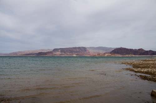 DSC_0155.jpg