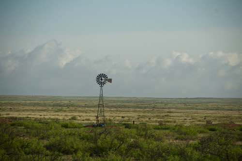 DSC_0044.jpg