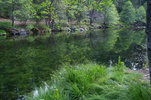 DSC_0155.jpg