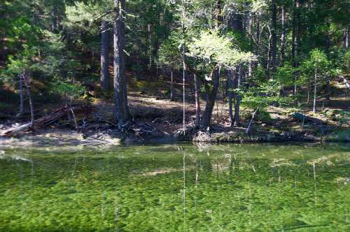 DSC_0178.jpg