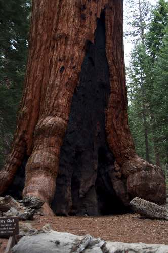DSC_0213.jpg