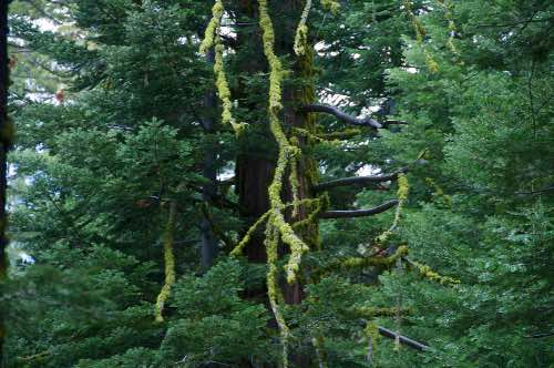 DSC_0221.jpg