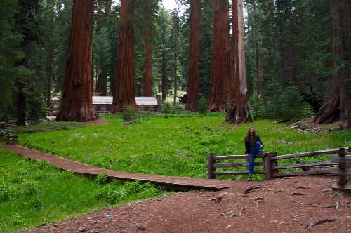 DSC_0239.jpg