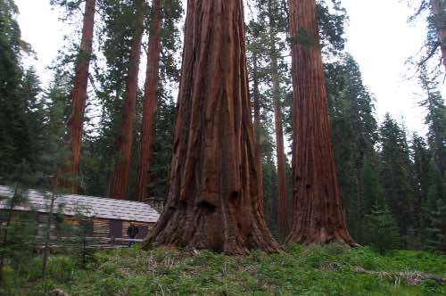 DSC_0247.jpg