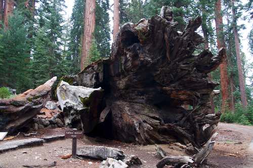 DSC_0263.jpg