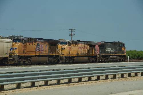 DSC_0042.jpg