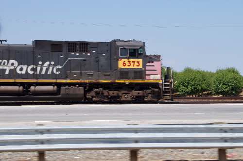 DSC_0045.jpg