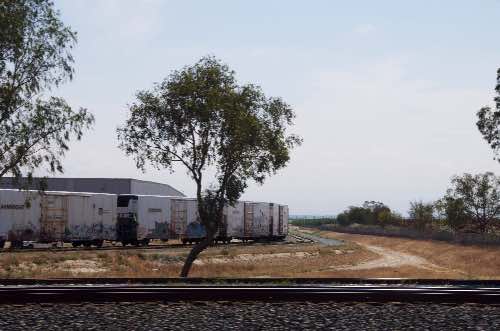 DSC_0056.jpg