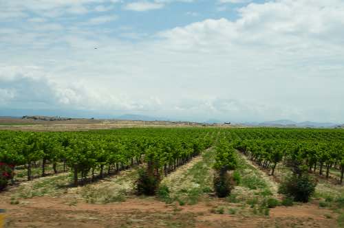 DSC_0093.jpg