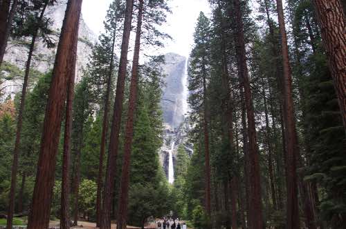 DSC_0092.jpg