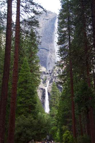 DSC_0096.jpg
