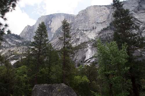 DSC_0117.jpg