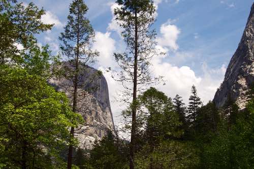 DSC_0121.jpg