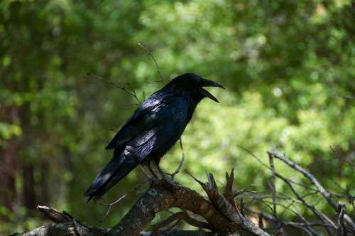 DSC_0127.jpg