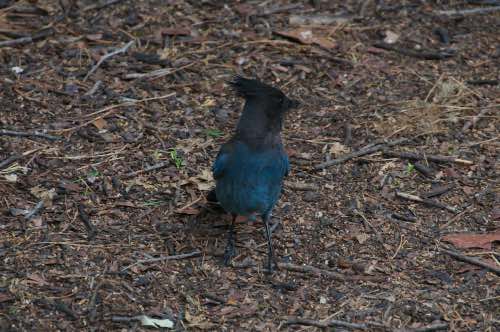 DSC_0068.jpg