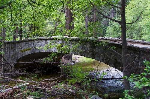 DSC_0097.jpg