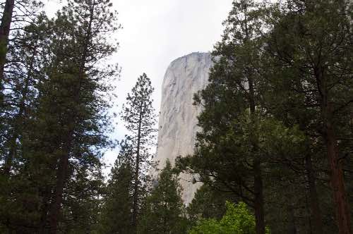 DSC_0105.jpg