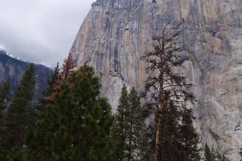 DSC_0111.jpg
