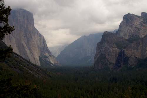 DSC_0113.jpg