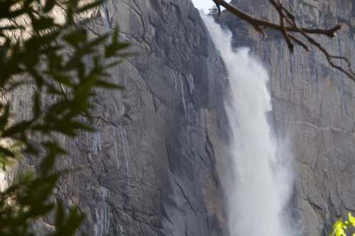 DSC_0040.jpg